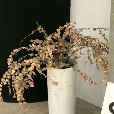 兴县福瑞交流群